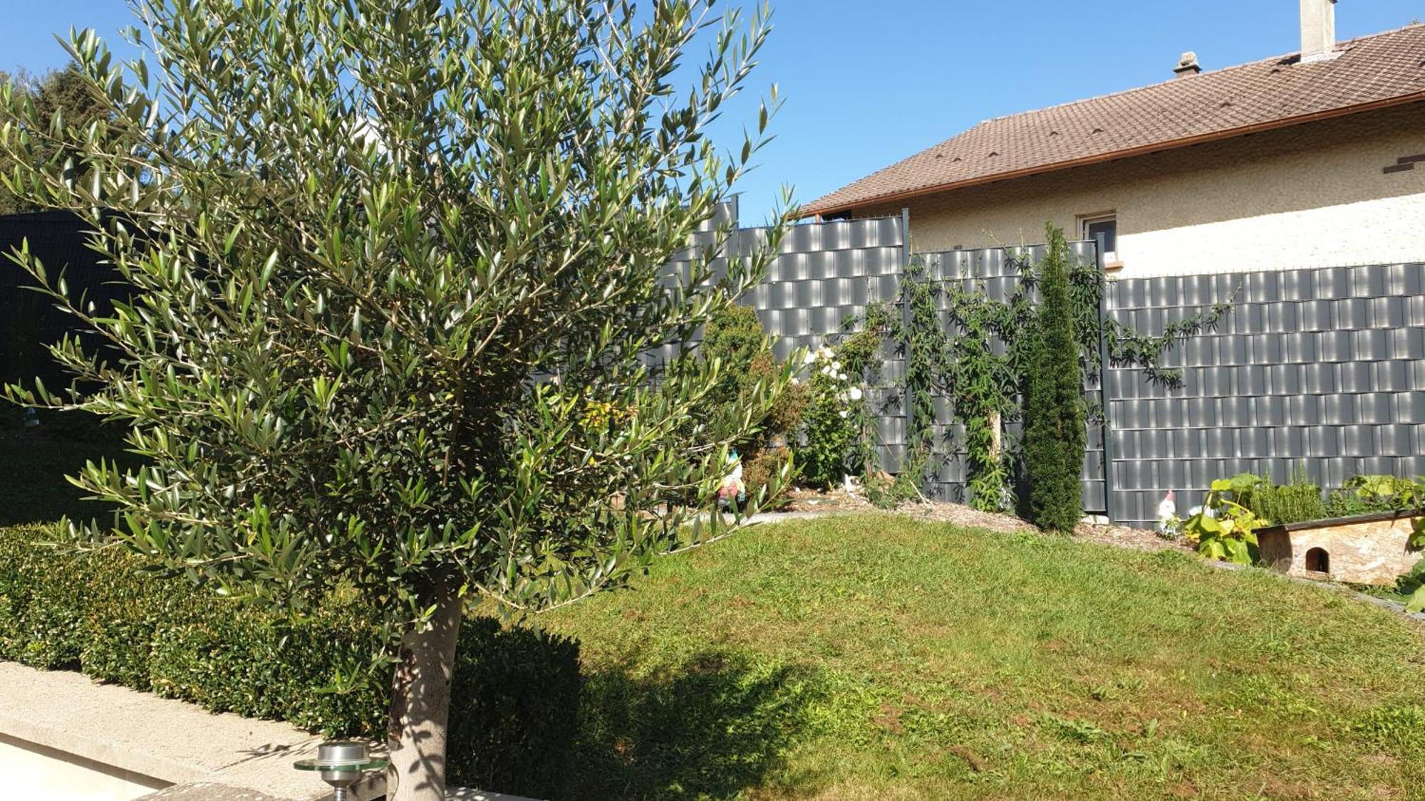 Le Gite Du Fort Bitche Εξωτερικό φωτογραφία